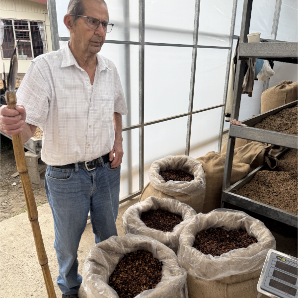 green coffee supplier