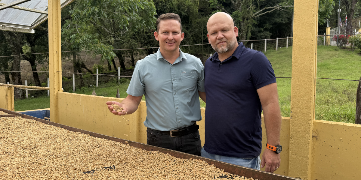 Direct-Trade Costa Rican Green Coffee for Independent Roasters