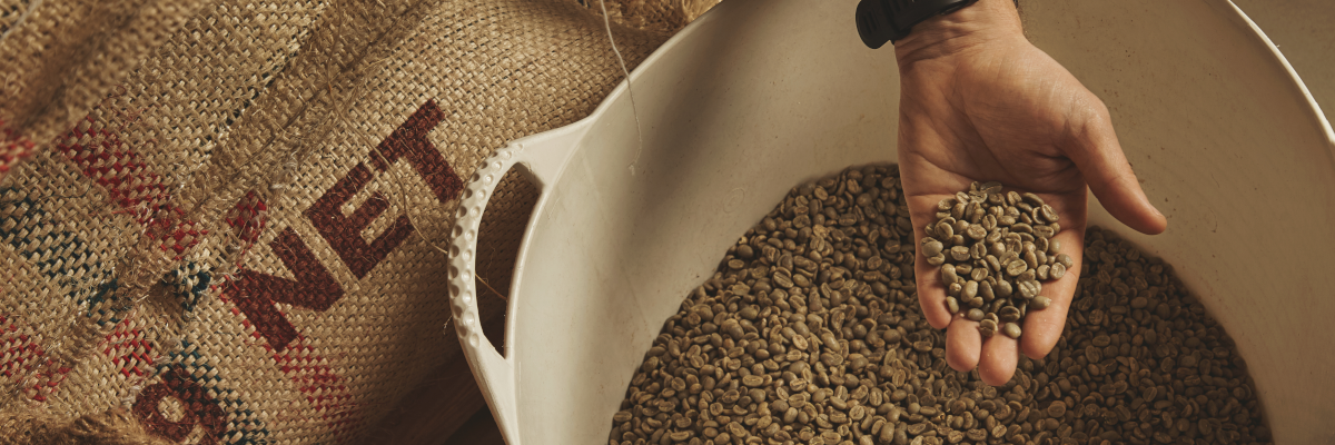 cafe verde costa rica sin tostar para tostar